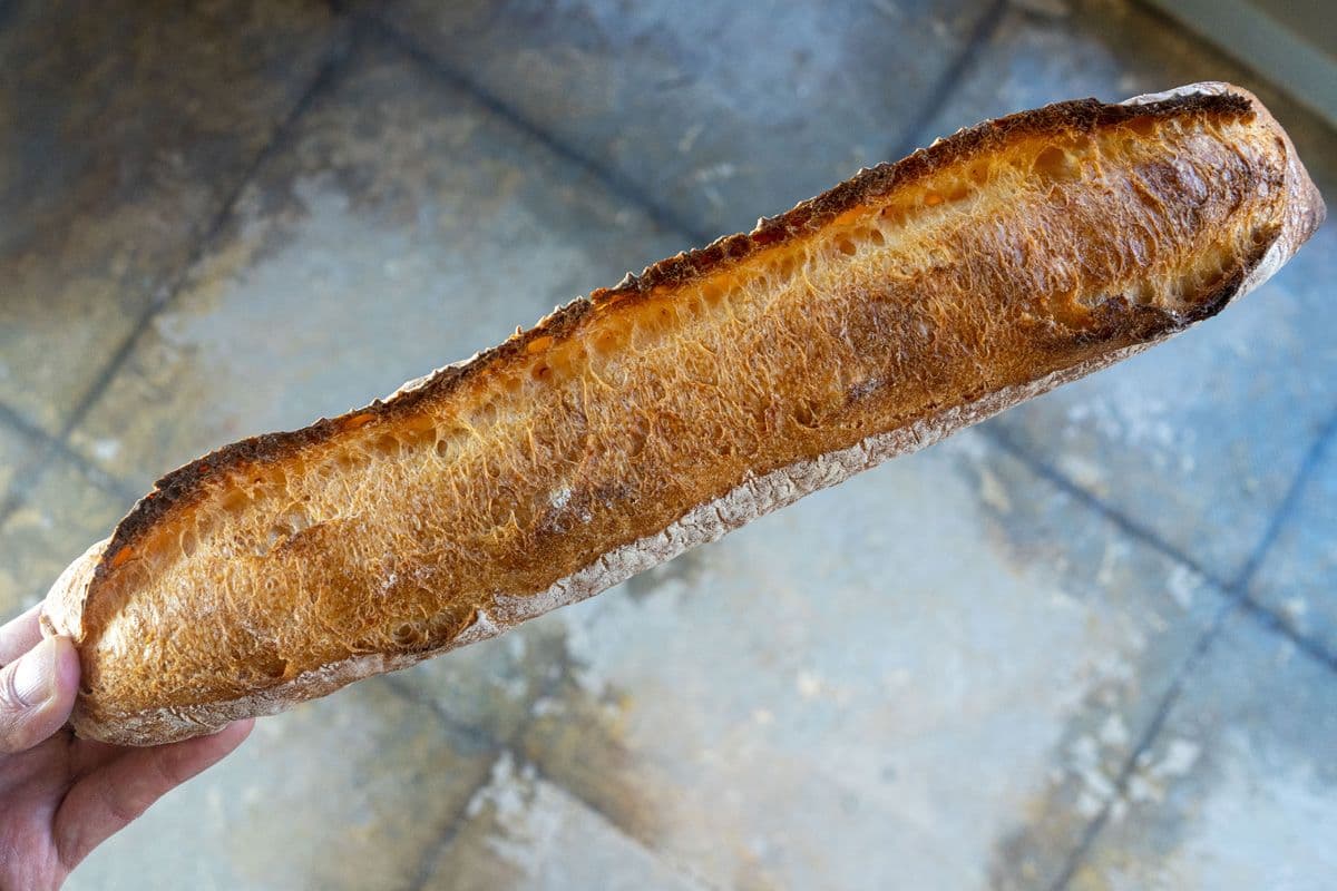 当社子会社アルトワイズ、成長ベンチャー「ベストベンチャー100」選出のお知らせ | 朝日新聞デジタルマガジン＆[and]