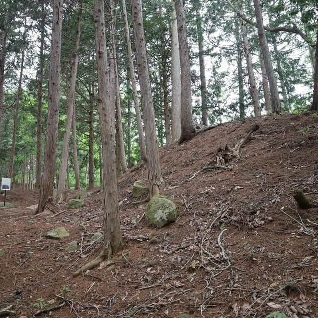 古川城、主郭地区に至る虎口と通路