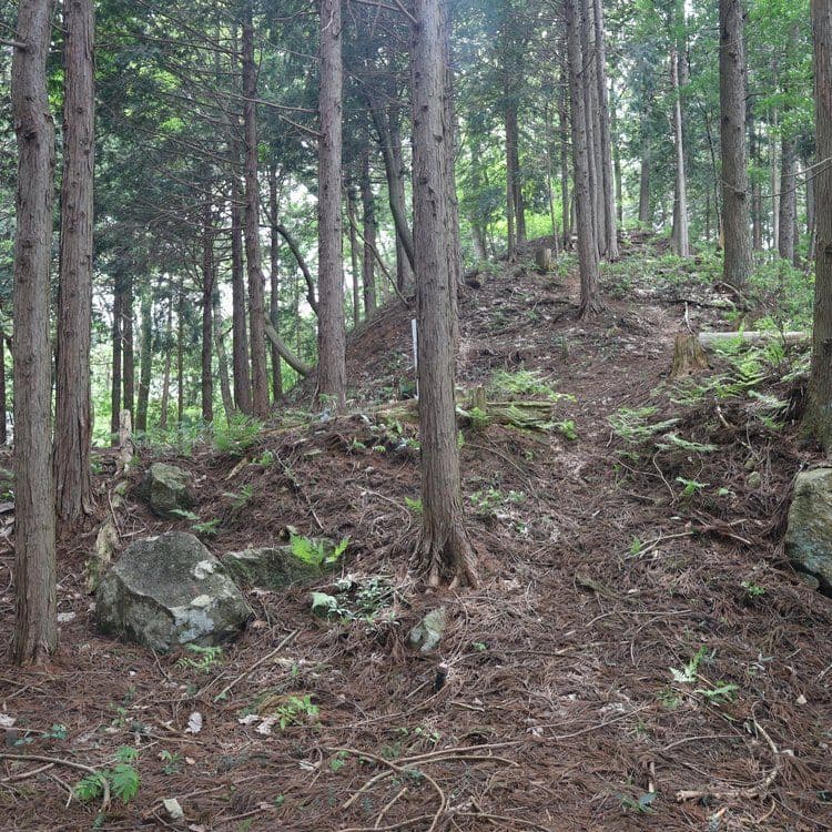 古川城の主郭に通じる曲輪(くるわ)群